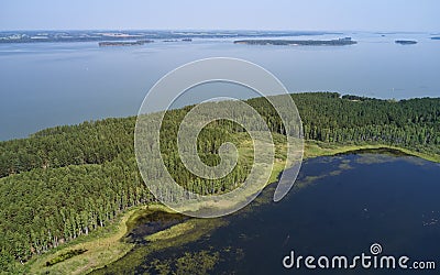 Aerial photo of forest boggy lake in the Karakansky pine forest near the shore of the Ob reservoir Stock Photo