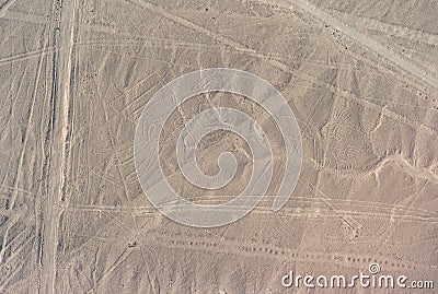 Aerial Picture of the Pelican Geoglyph and a Phytomorphic Glyph - Nazca Lines, Peru Stock Photo