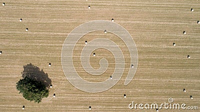 Aerial photo of round bales of straw in the meadow Stock Photo