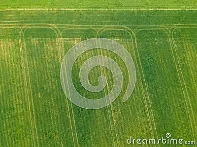 Aerial photo of Spring fresh green field with tractor`s tracks Stock Photo