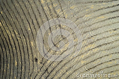 Aerial view of the signs of drought in the fields of Tuscany Italy Stock Photo