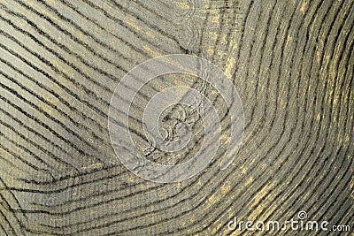 Aerial view of the signs of drought in the fields of Tuscany Italy Stock Photo