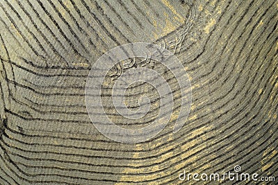 Aerial view of the signs of drought in the fields of Tuscany Italy Stock Photo