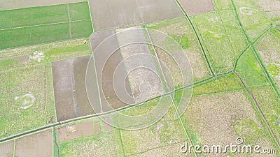 map of rice fields - stock photo Stock Photo