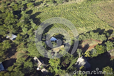 Aerial photos of overlooking Lewa Conservancy and lodging in Kenya, Africa Stock Photo