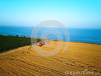 Aerial of red combine harvester working in wheat field near cliff with sea view on sunset. Harvesting machine cutting Stock Photo