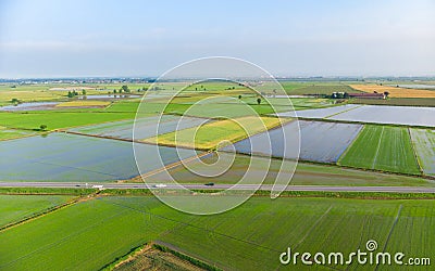 Aerial: rice paddies, flooded cultivated fields farmland rural italian countryside, agriculture occupation, sprintime in Piedmont, Stock Photo