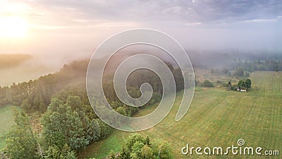 Aerial of Riserva Naturale della Marcigliana, tree lines, green meadow, foggy sunset background Stock Photo