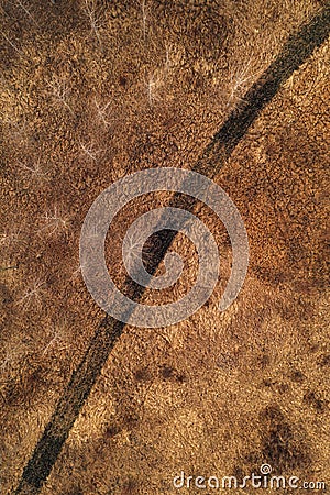 Aerial shot of curved dirt road through uncultivated wooded landscape with bare deciduous trees and dry grass, directly above Stock Photo