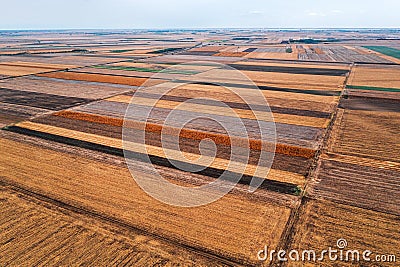 Aerial shot of harvest ready agricultural field, ripe crop plantation from drone pov Stock Photo