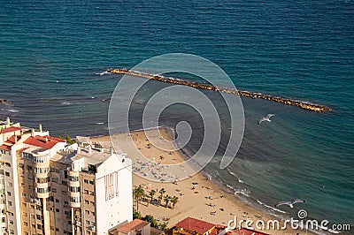 Aerial shot of seagulls soaring above the shore near the resort buildings Stock Photo