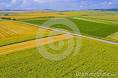 Aerial summer fields and road Stock Photo
