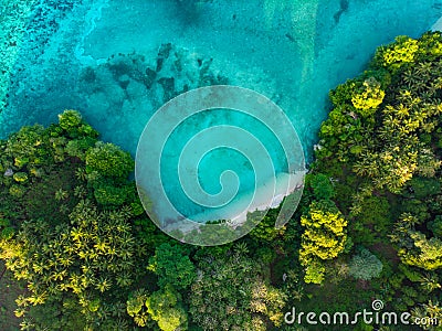 Aerial top down view tropical paradise pristine beach rainforest blue lagoon at Banda Island, Pulau Ay. Indonesia Moluccas Stock Photo