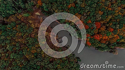 Aerial top view. Autumn landscape. Lake in autumn forest Stock Photo