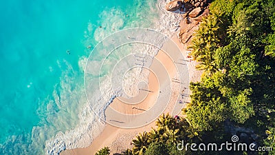 Aerial top view on blue sea and sand palm beach with people, palm tree and ocean, vacation travel concept Stock Photo