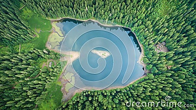 Aerial top view on lake Synevyr Stock Photo