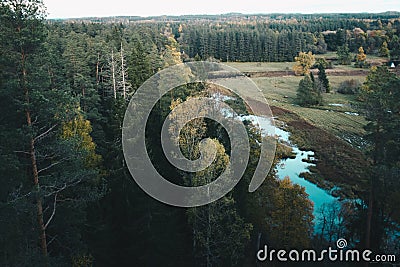 Aerial top view of summer trees in forest in rural Latvia whit blue woods river. Stock Photo