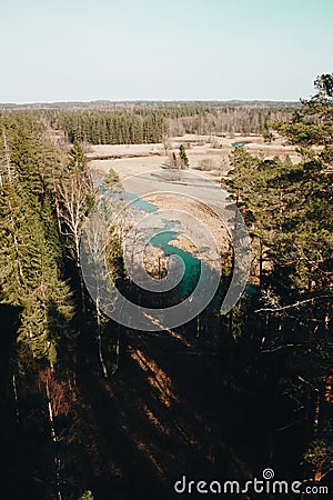 Aerial top view of summer green trees in forest in rural Latvia whit blue woods river. Stock Photo