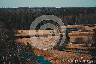 Aerial top view of summer green trees in forest in rural Latvia whit blue woods river. Stock Photo