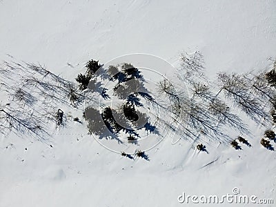 Aerial top view of trees in a horizontal pattern and their shadows in winter , surrounded by snow. Kanata, Ottawa Stock Photo