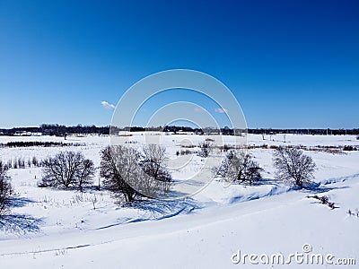 Aerial top view of trees next to a frozen river in winter , surrounded by snow. Kanata neighborhood seen in the Stock Photo