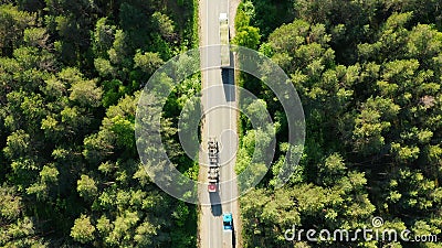 Trucks on road in coniferous forest, aerial drone Stock Photo