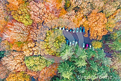 Aerial topshot from a parking in the forest Stock Photo