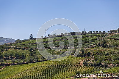 Aerial typical landscape of the highlands in the north of Portugal, levels for agriculture of vineyards, olive tree groves Stock Photo