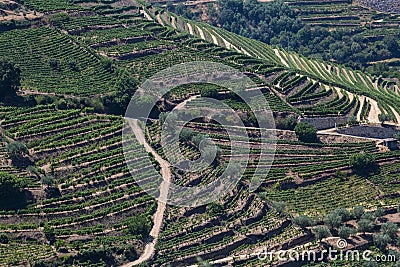 Aerial typical landscape of the highlands in the north of Portugal, levels for agriculture of vineyards, olive tree groves Stock Photo