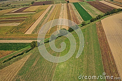 Aerial view of agricultural fields by drone Stock Photo