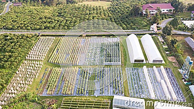 Aerial view of Agricultural plots, Allotment plot in Spring, prepared for planting. An allotment is a plot of land rented and use Stock Photo