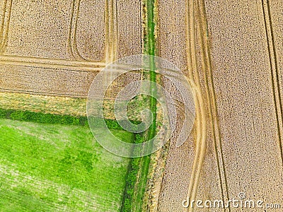 Aerial view of agricultural tractor marks on fields of crops in Weeton, North Yorkshire, UK Stock Photo