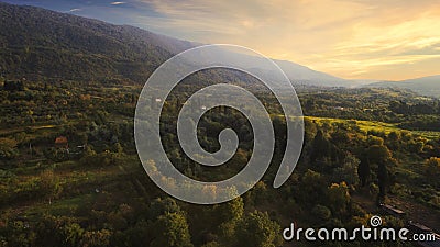 Aerial view agriculture field summer day. Summer day landscape. Flying over field and mountains Stock Photo