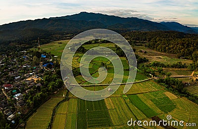 Aerial view of agriculture field of zutong pe maehong sorn north Stock Photo