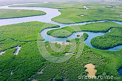 Aerial view of Amazon rainforest in Brazil, South America. Green forest. Bird`s-eye view Stock Photo