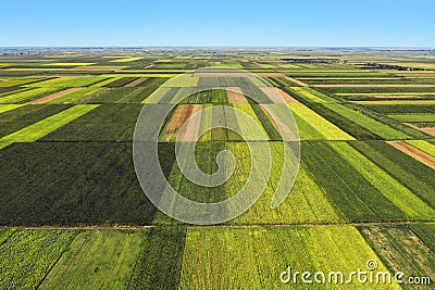 Aerial view of beautiful plain countryside landscape with cultivated fields of corn and sunflower Stock Photo