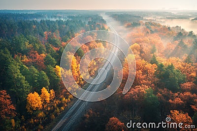 Aerial view of beautiful railroad in autumn forest in fog Stock Photo