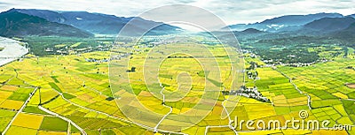 Aerial view of Beautiful Rice Fields in taitung . Taiwan Stock Photo