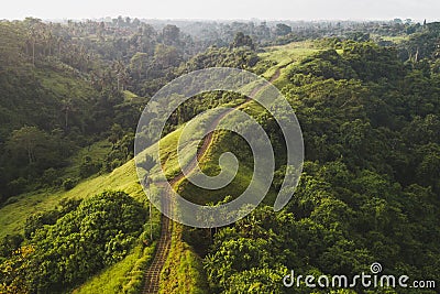 Aerial view of Campuhan Ridge Walk in Ubud Bali Stock Photo