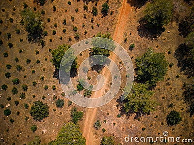 Aerial view captures a quiet country road, lined with an abundance of trees Stock Photo