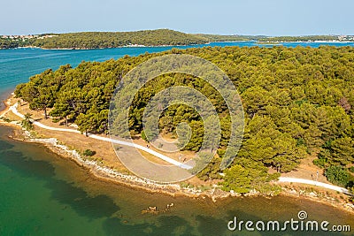 Aerial view of a coastal pine forest near Medulin town in Croatia Stock Photo