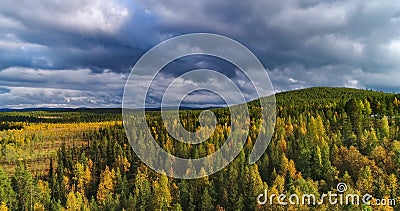 Pallas-Yllas national park, Lapland Stock Photo