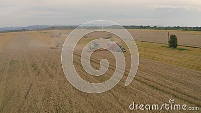 Aerial view of a combine harvester and agricultural machinery harvesting wheat. Stock Photo