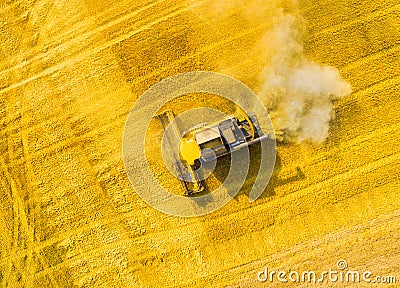 Harvest of wheat field. Aerial view to combine harvester. Stock Photo