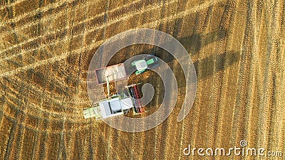 Aerial view of combine harvester and tractor. Tractor filling trailer with grain at sunset. Beautiful warm light. Stock Photo