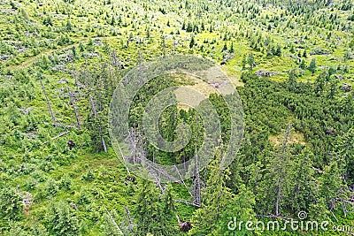 Aerial view of coniferous forest in High Tatras Mountains, slowly recovering after disastrous windstorm several years ago. Stock Photo