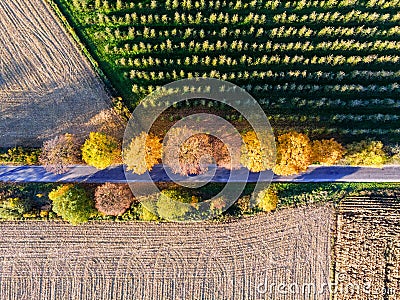 Aerial view of country road, autumn trees and ploughed fields Stock Photo
