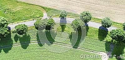 Aerial view of a curve of a path with magnificent green trees along the way Stock Photo