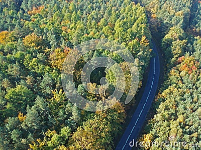 Aerial view on curved asphalt road in mixed forest during autumn Stock Photo