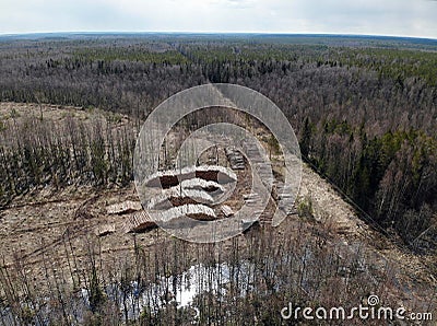 Aerial view deforestation tree cutting spring or autumn forest. Ecology. Stock Photo